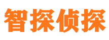 叶城外遇调查取证